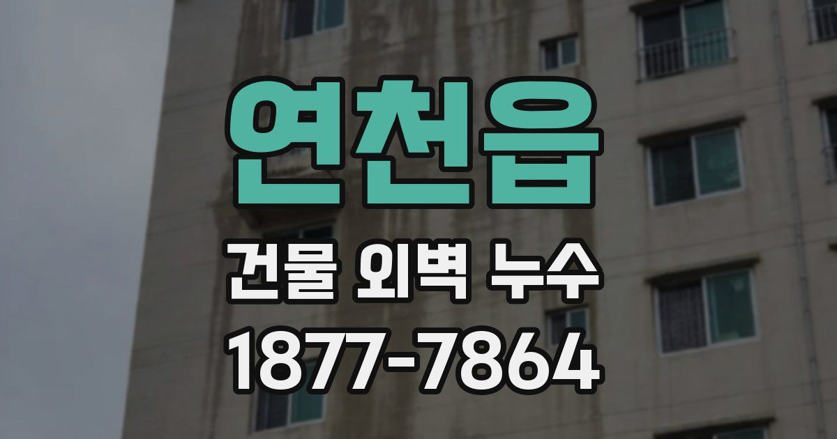 연천읍 건물 외벽 누수
