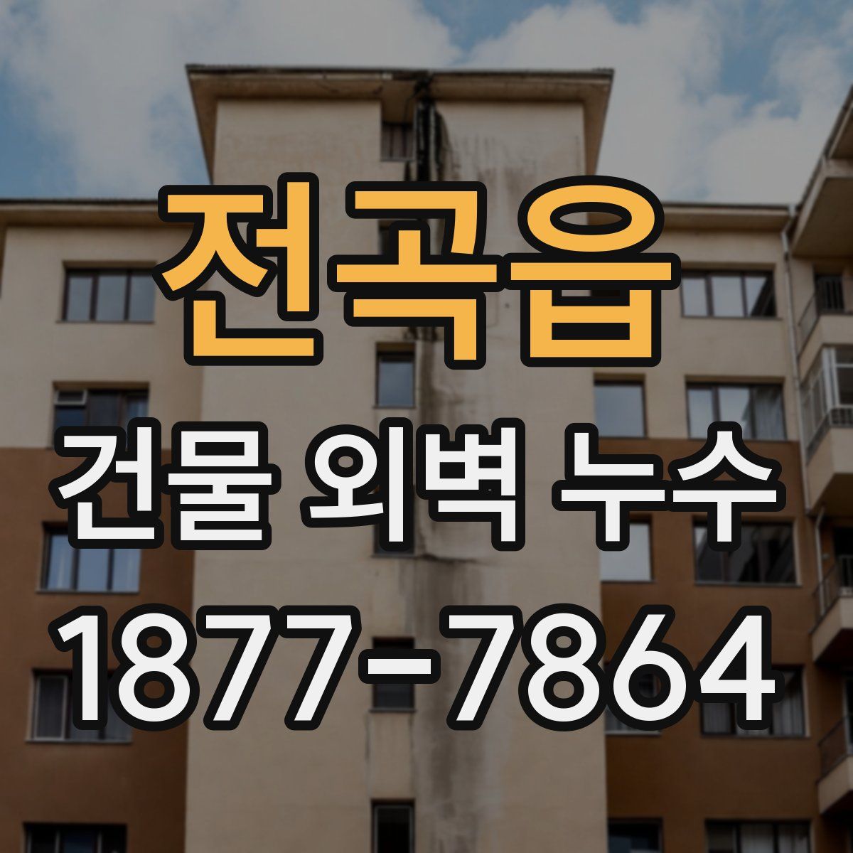 전곡읍 건물 외벽 누수