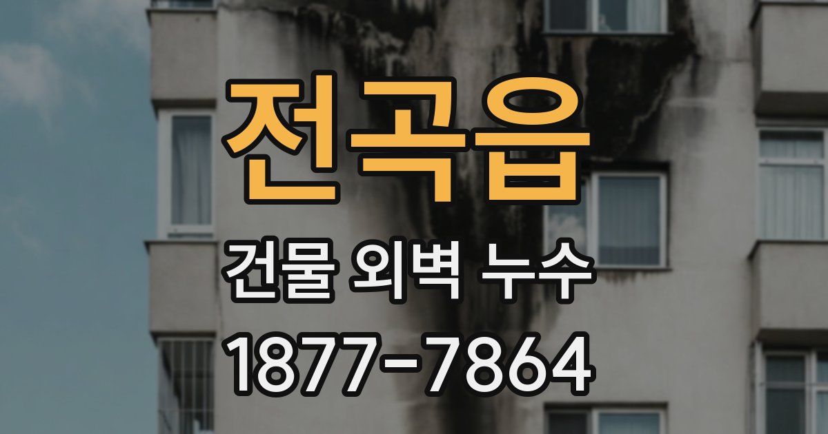 전곡읍 건물 외벽 누수