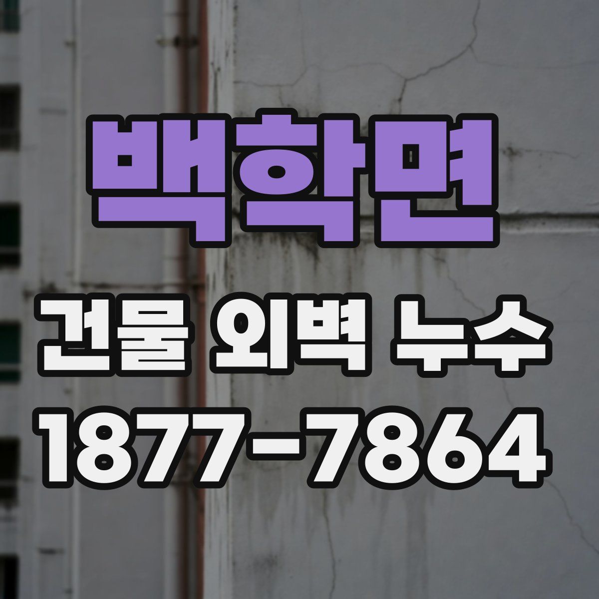 백학면 건물 외벽 누수