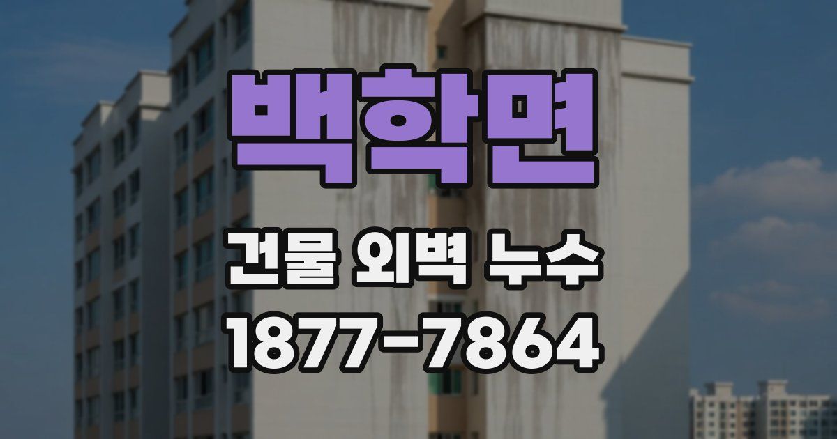 백학면 건물 외벽 누수