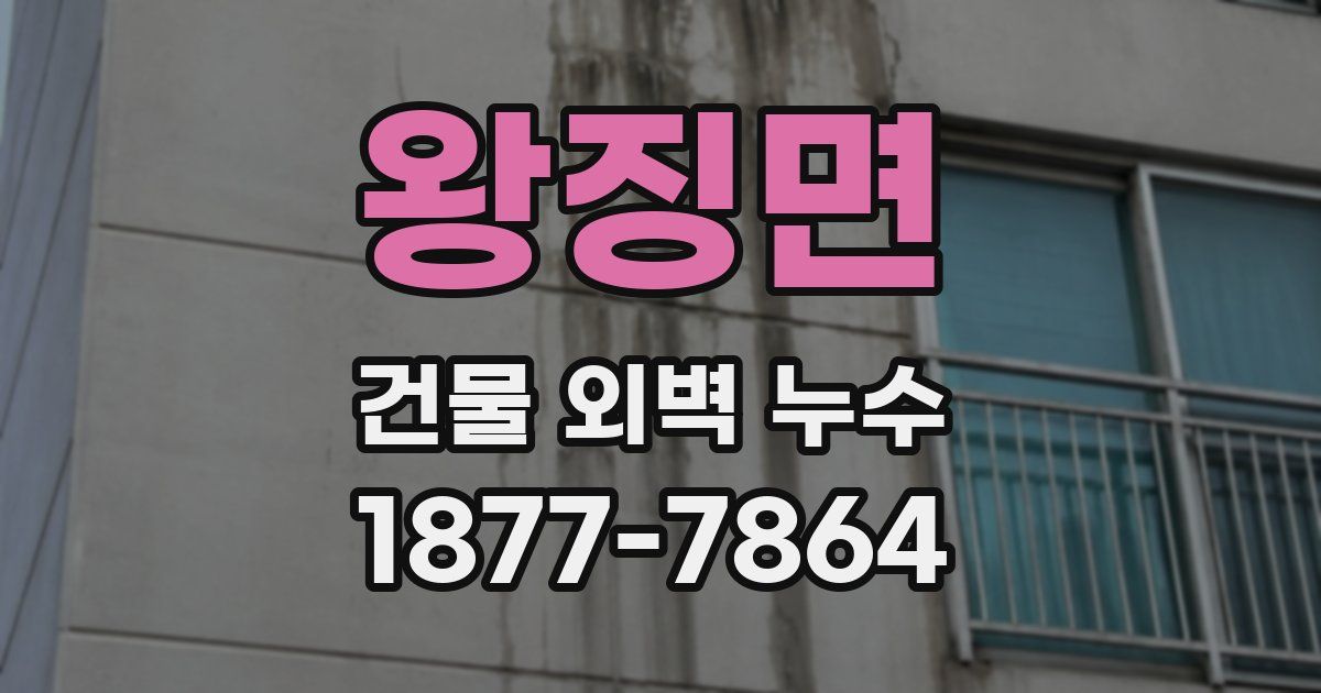 왕징면 건물 외벽 누수