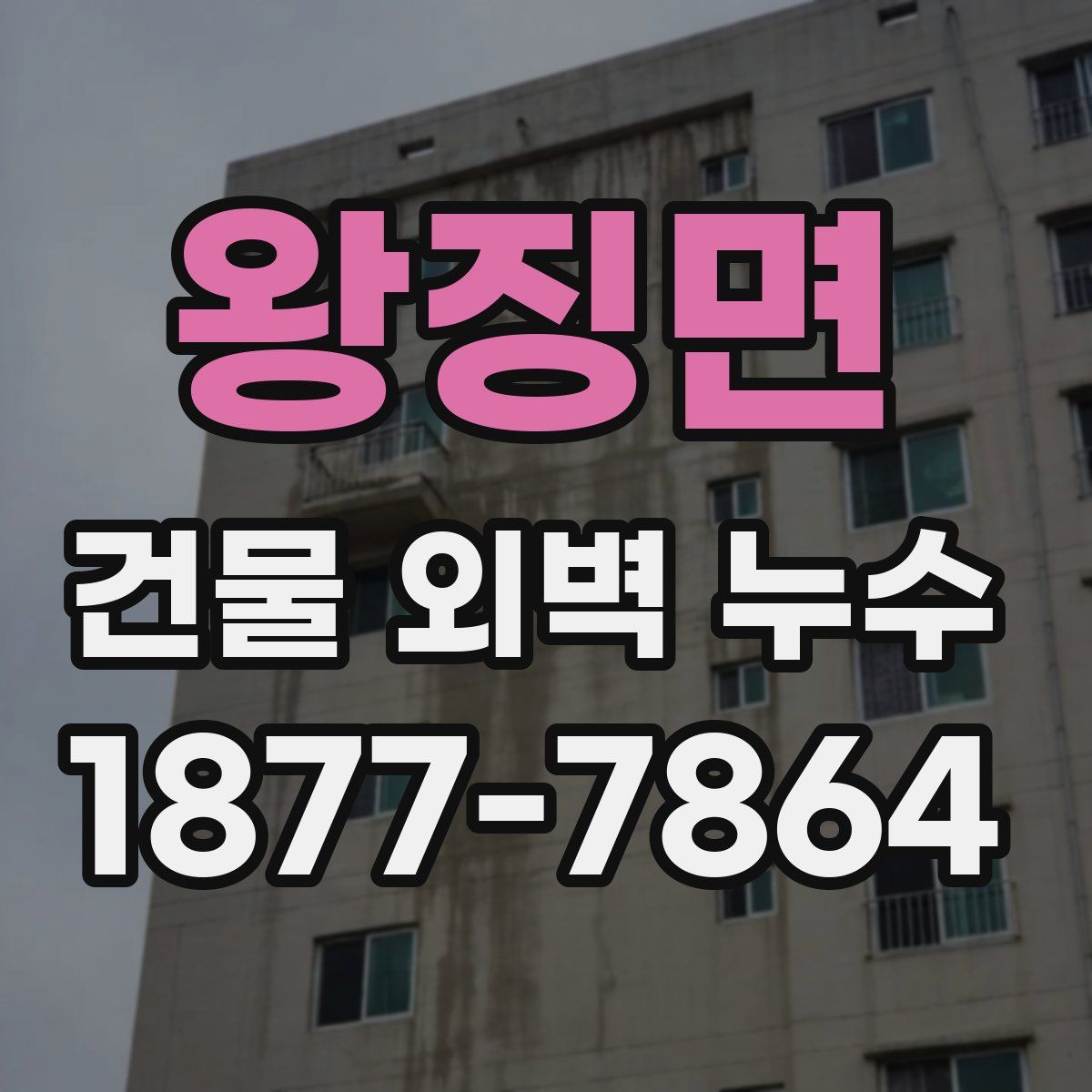 왕징면 건물 외벽 누수