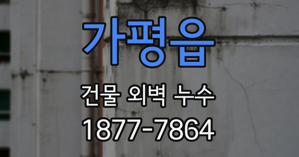 가평읍 건물 외벽 누수