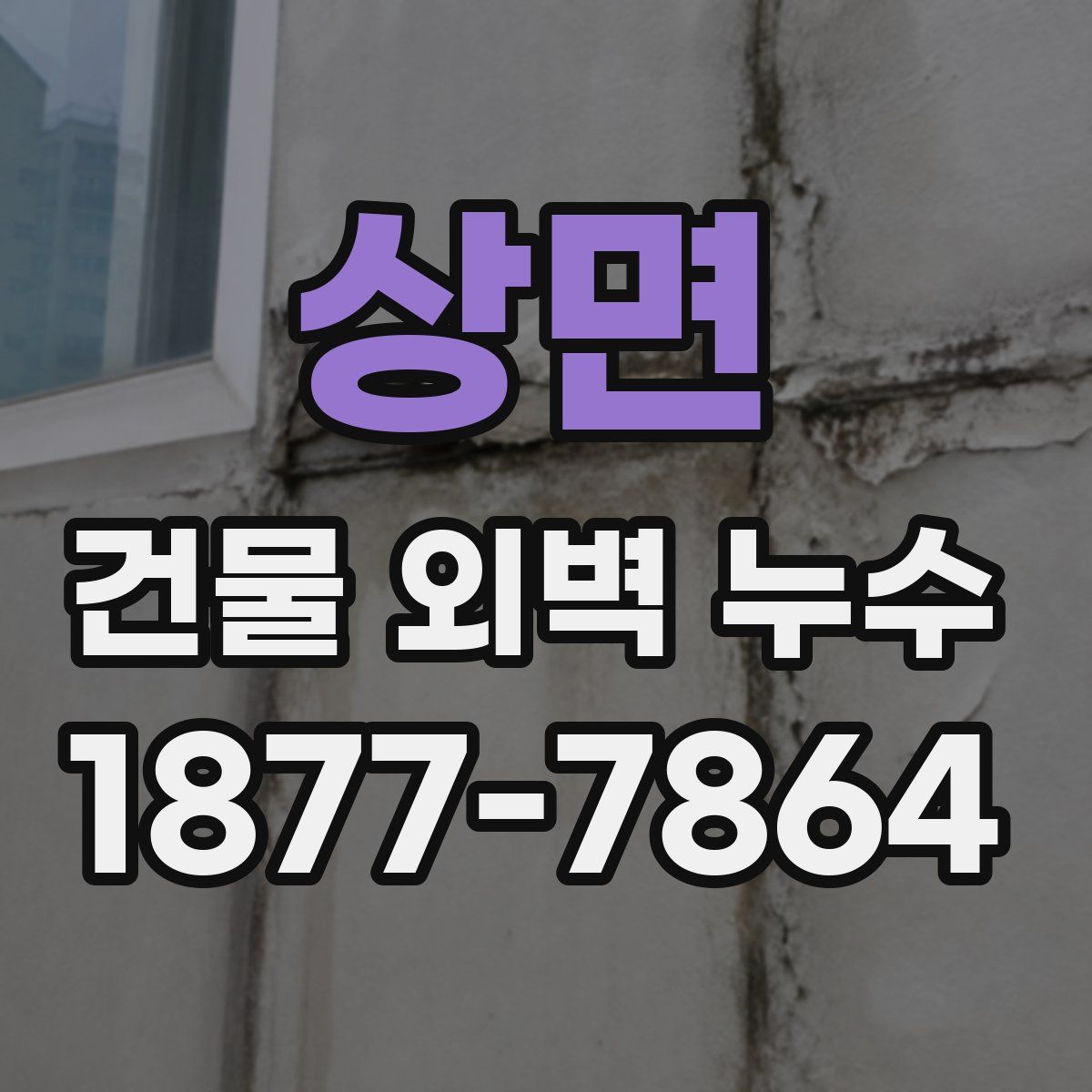 상면 건물 외벽 누수