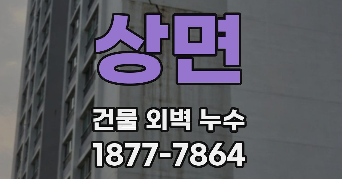 상면 건물 외벽 누수