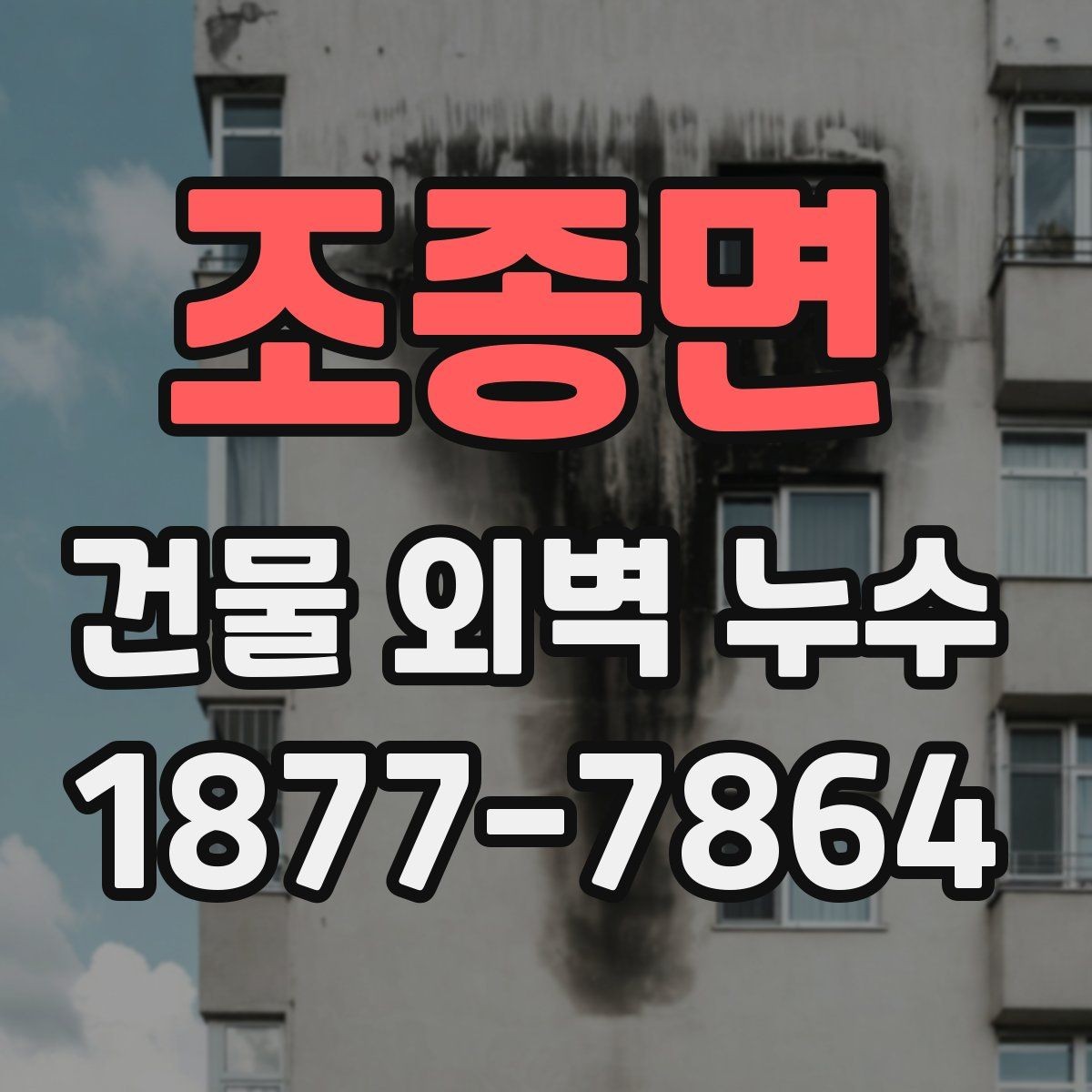 조종면 건물 외벽 누수 수리 전에 비교할 요소