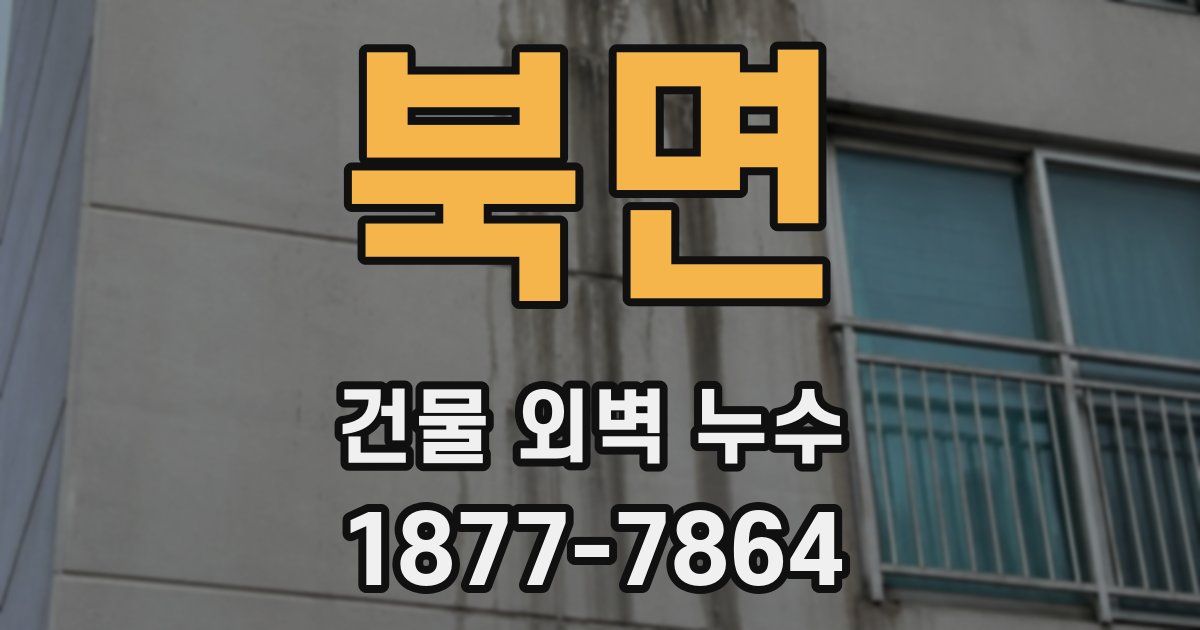 북면 건물 외벽 누수