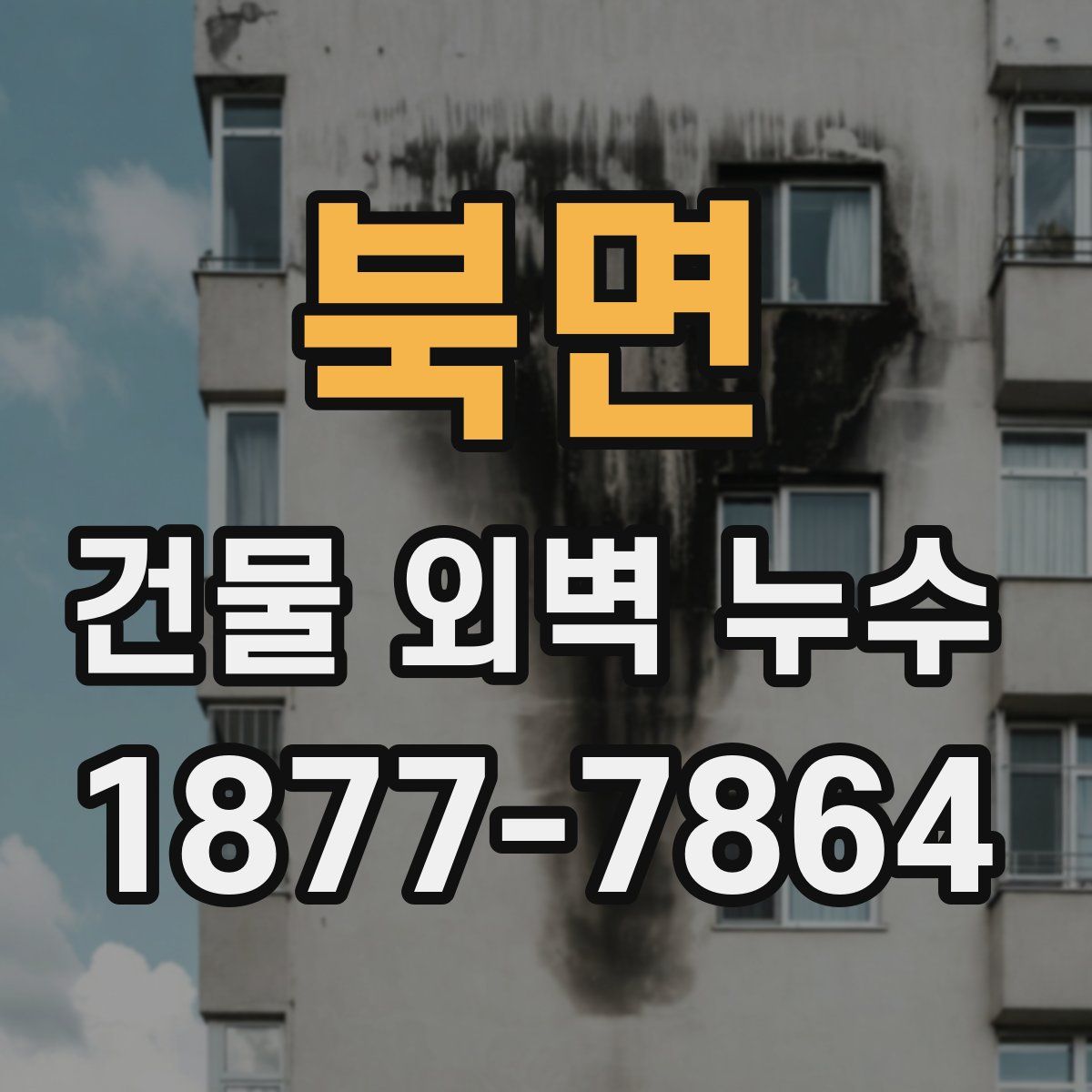 북면 건물 외벽 누수