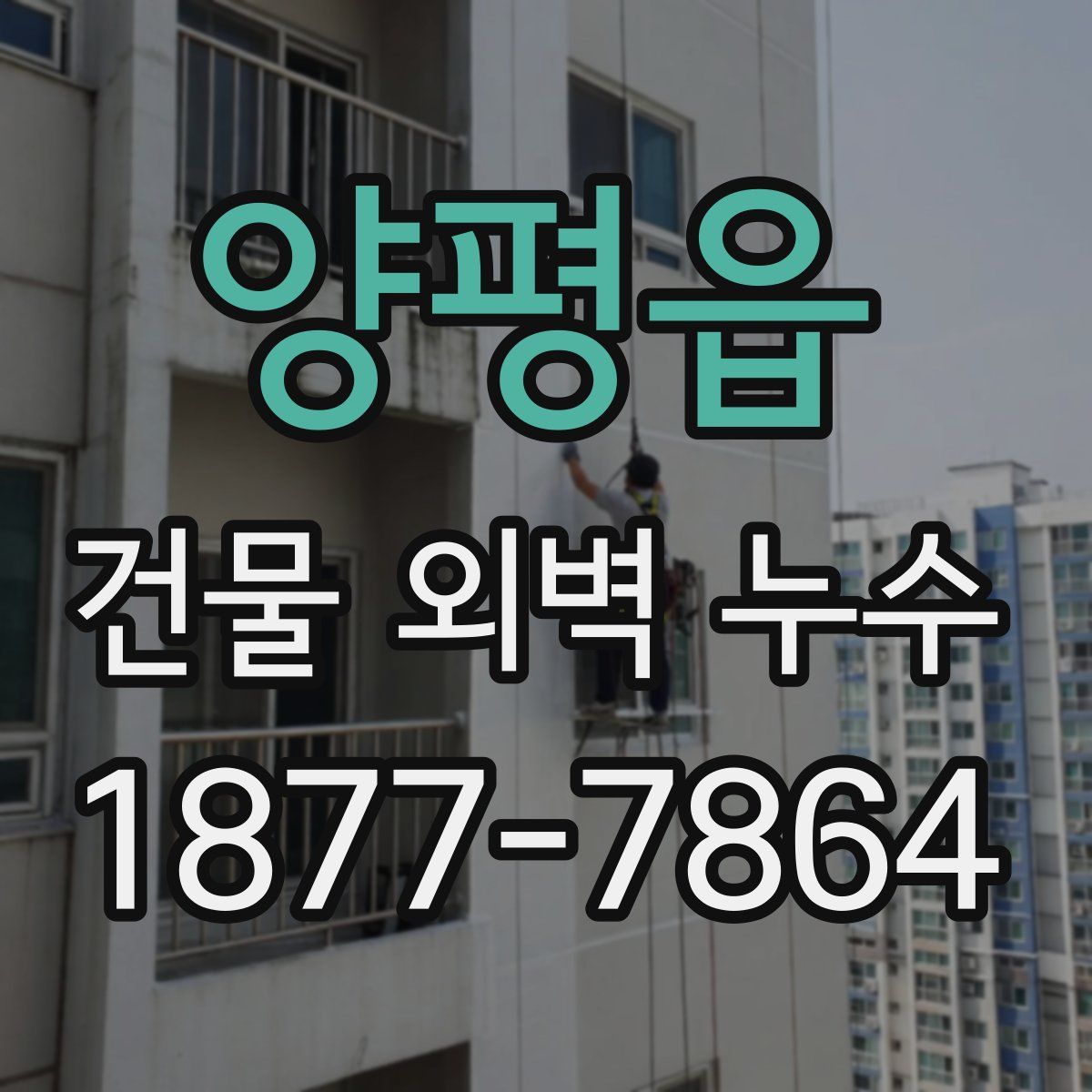양평읍 건물 외벽 누수