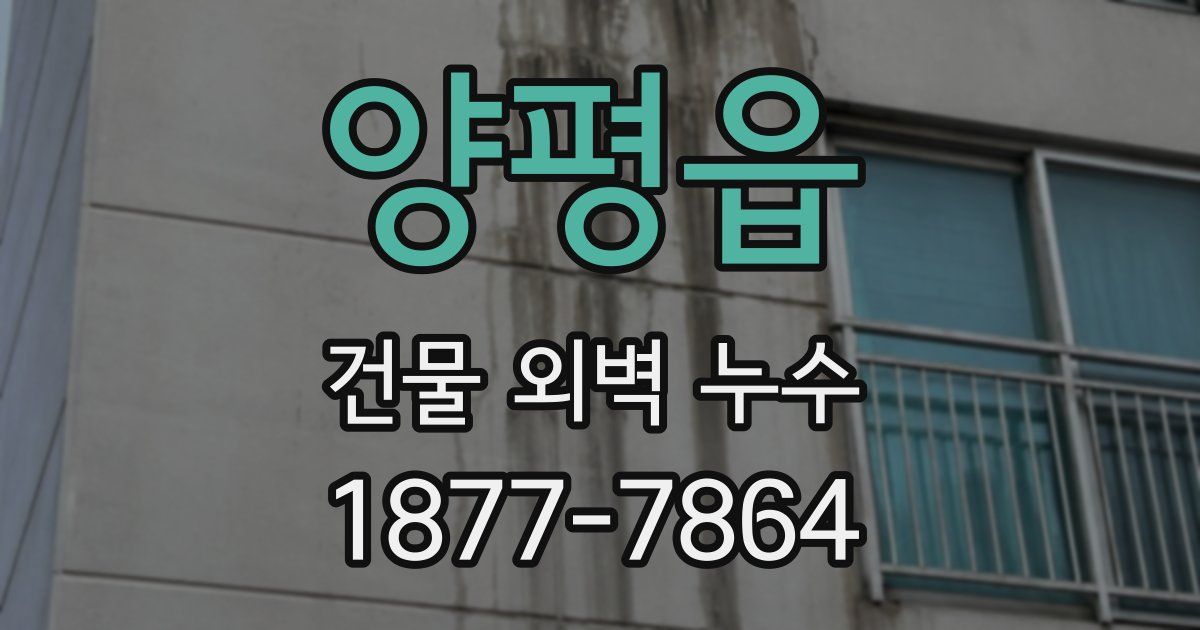 양평읍 건물 외벽 누수