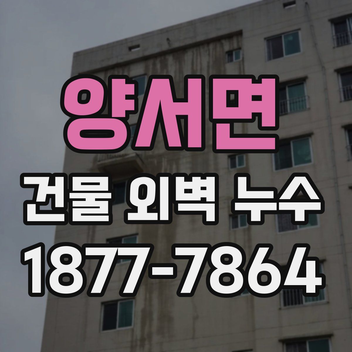 양서면 건물 외벽 누수