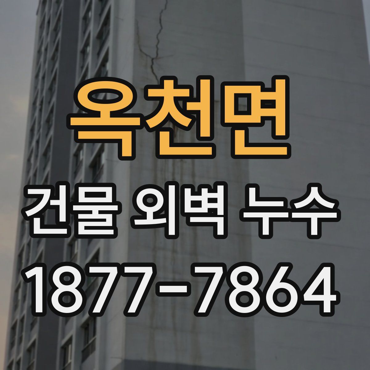 옥천면 건물 외벽 누수