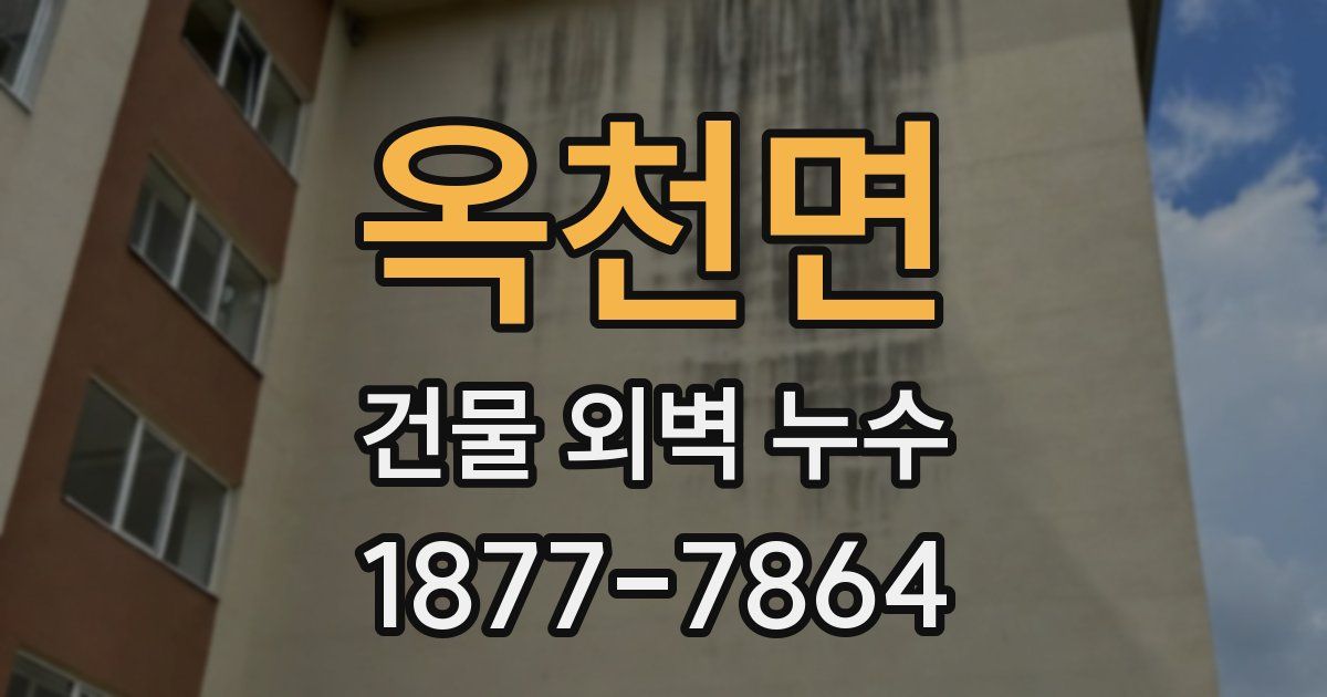 옥천면 건물 외벽 누수