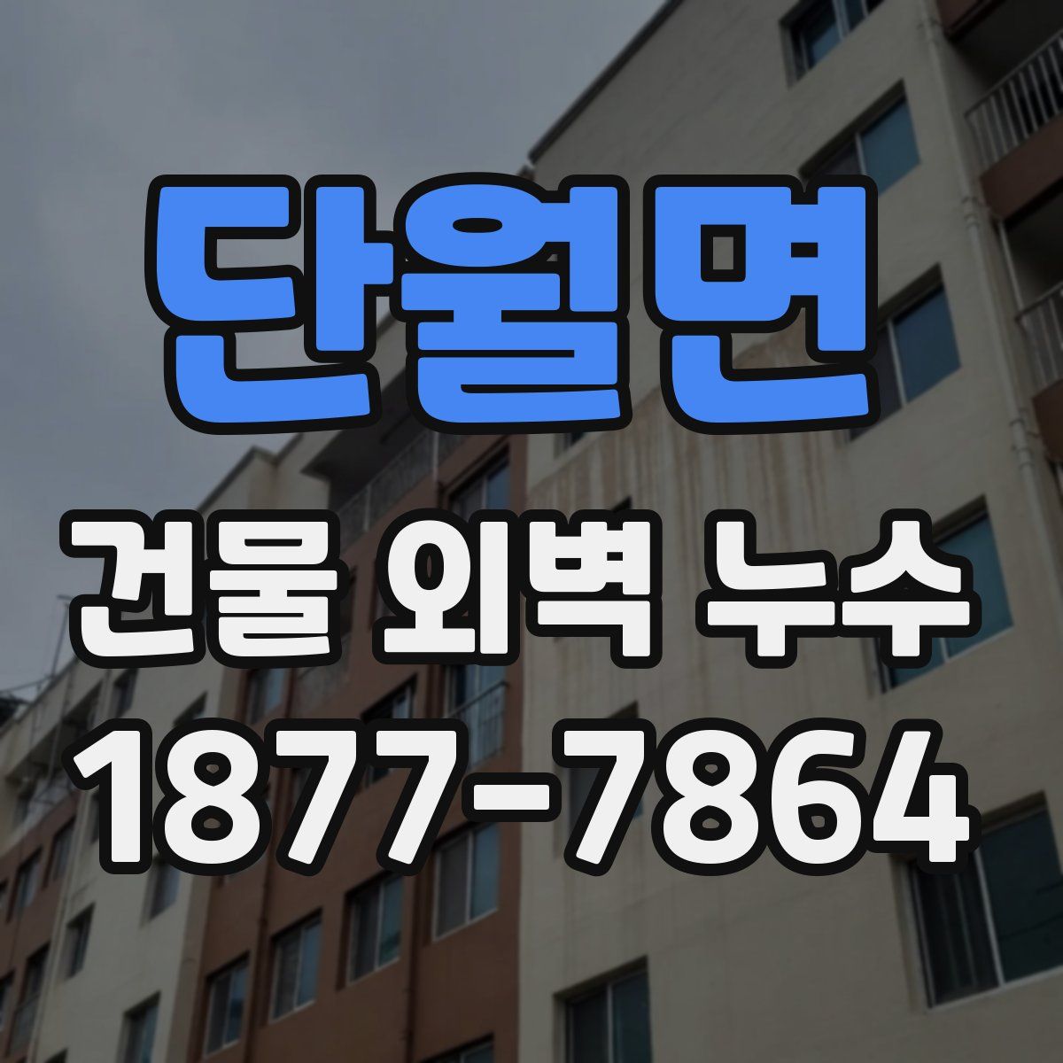 단월면 건물 외벽 누수