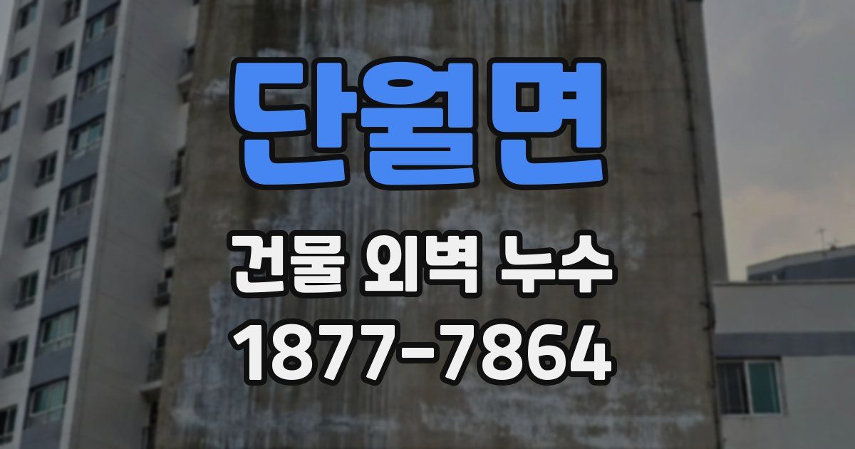 단월면 건물 외벽 누수