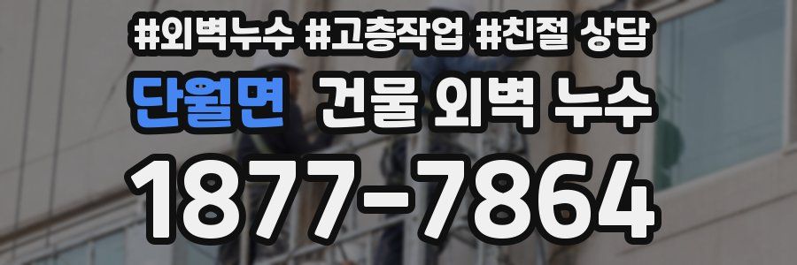 단월면 건물 외벽 누수