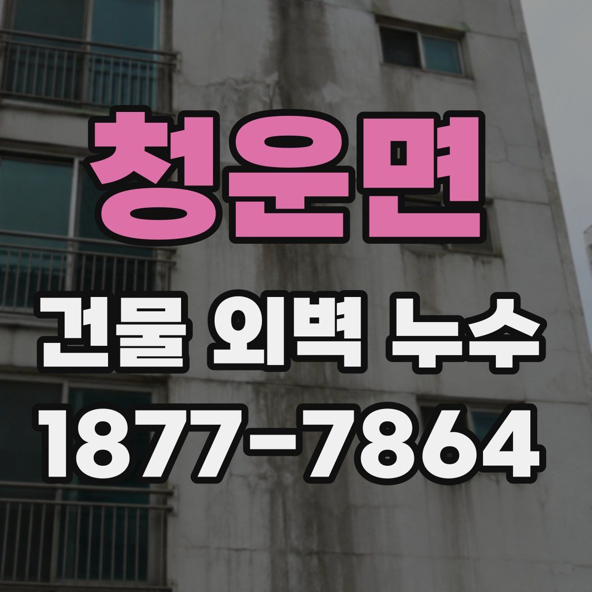청운면 건물 외벽 누수