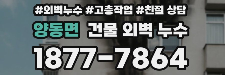 양동면 건물 외벽 누수