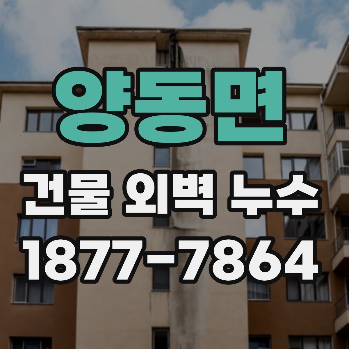 양동면 건물 외벽 누수