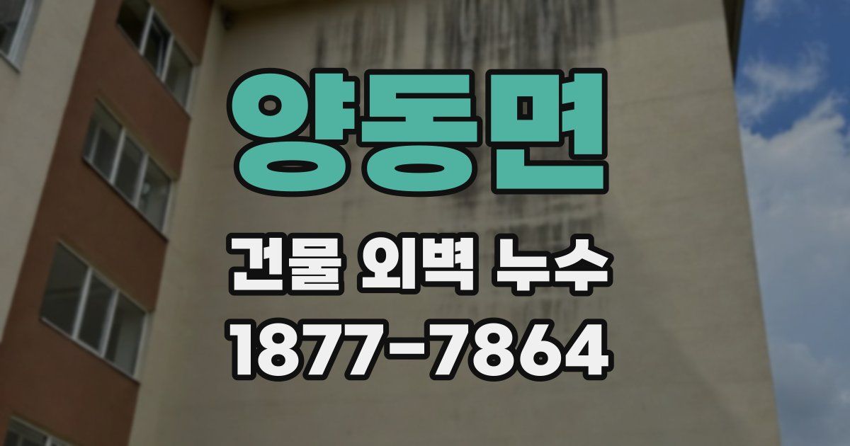 양동면 건물 외벽 누수