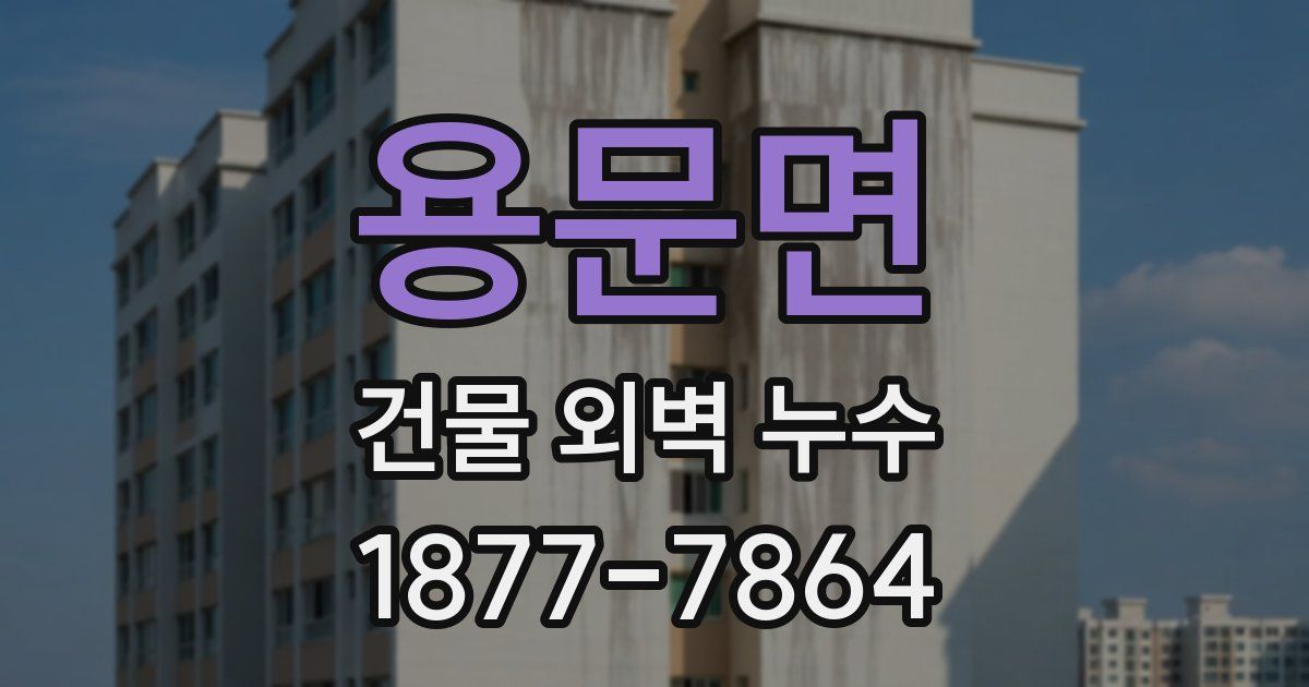 용문면 건물 외벽 누수