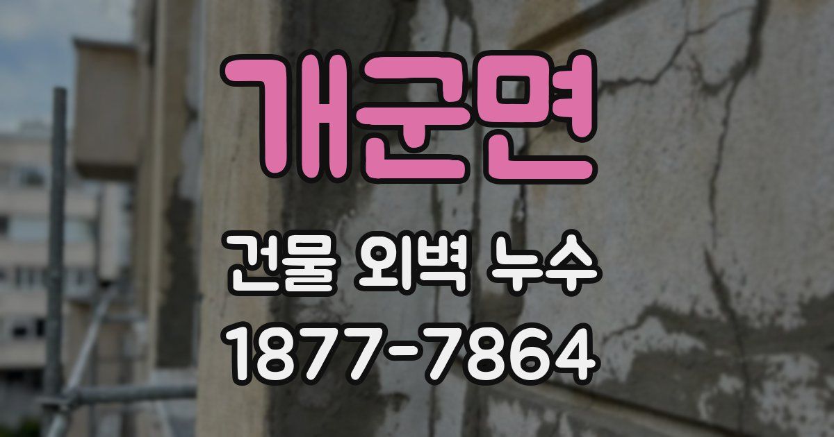 개군면 건물 외벽 누수