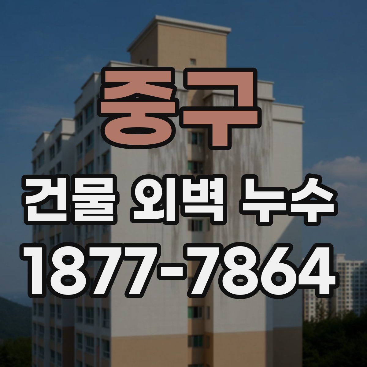 중구 건물 외벽 누수 발생 시 사진 기록이 중요한 이유