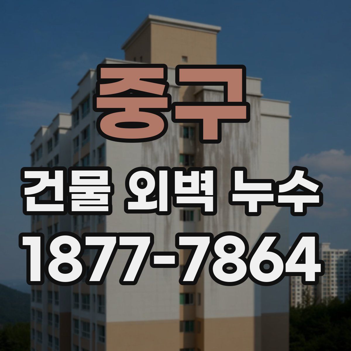 중구 건물 외벽 누수