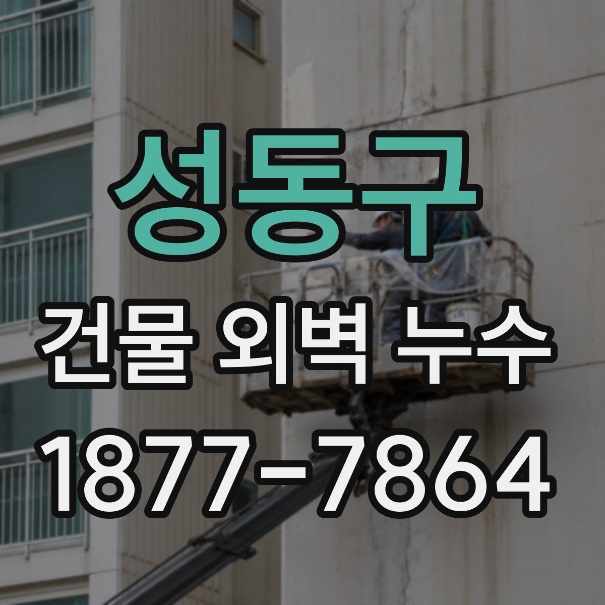 성동구 건물 외벽 누수 수리 방식의 장단점