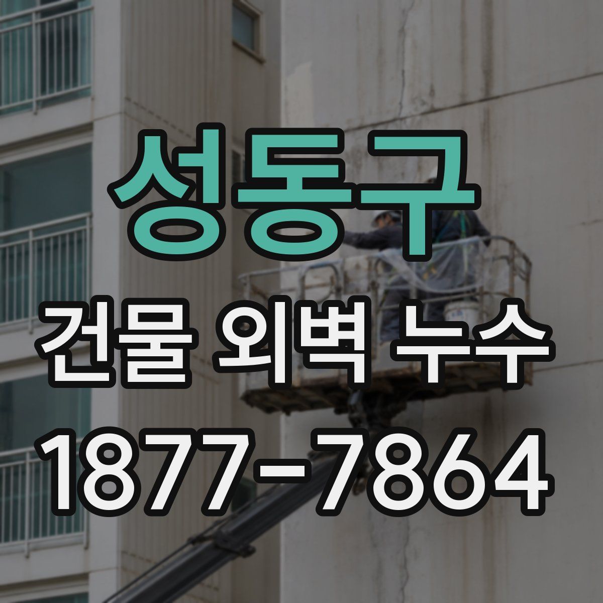 성동구 건물 외벽 누수
