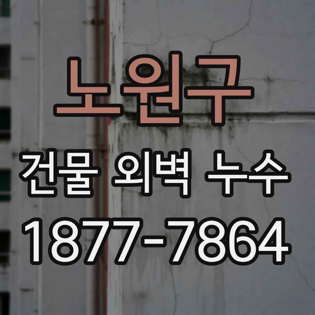 노원구 건물 외벽 누수