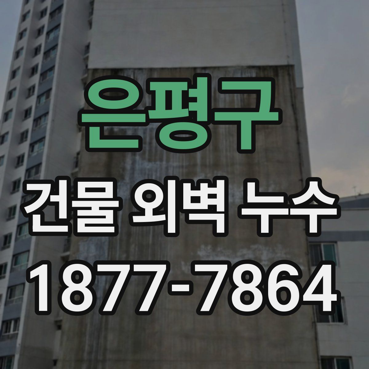 은평구 건물 외벽 누수