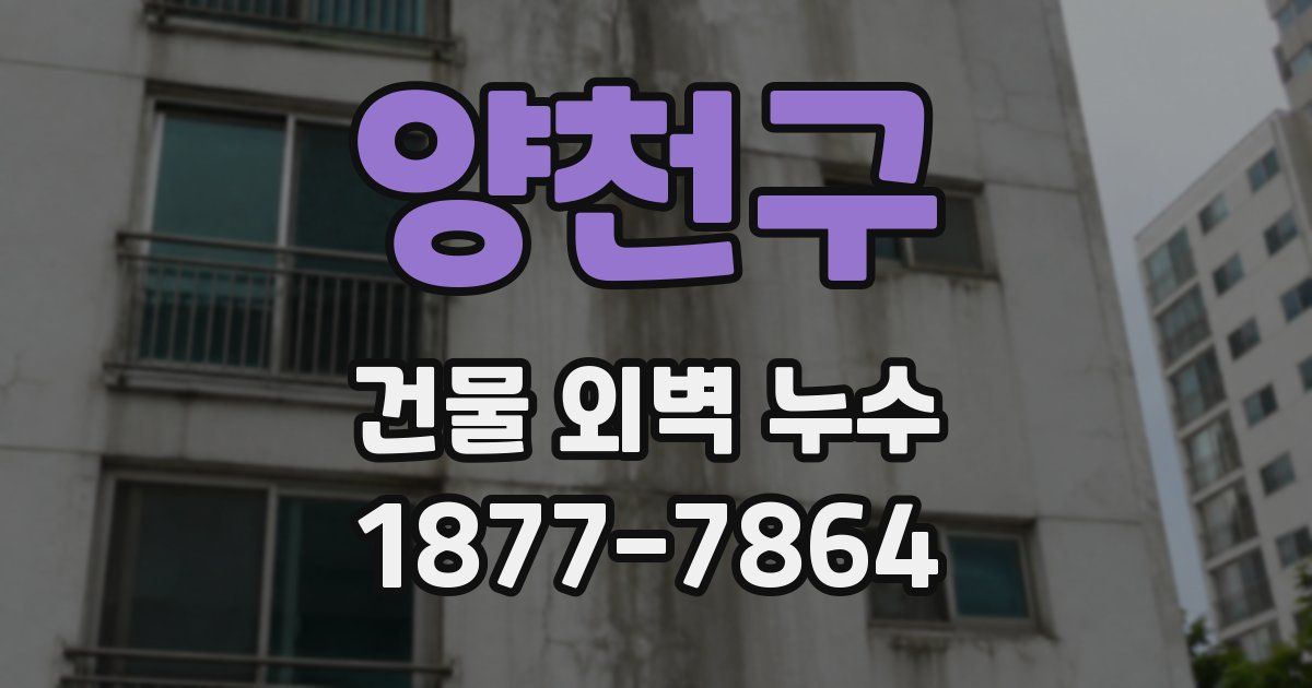 양천구 건물 외벽 누수