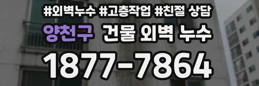 양천구 건물 외벽 누수