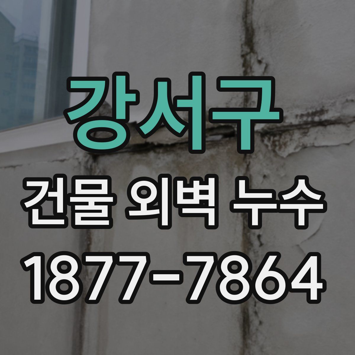 강서구 건물 외벽 누수