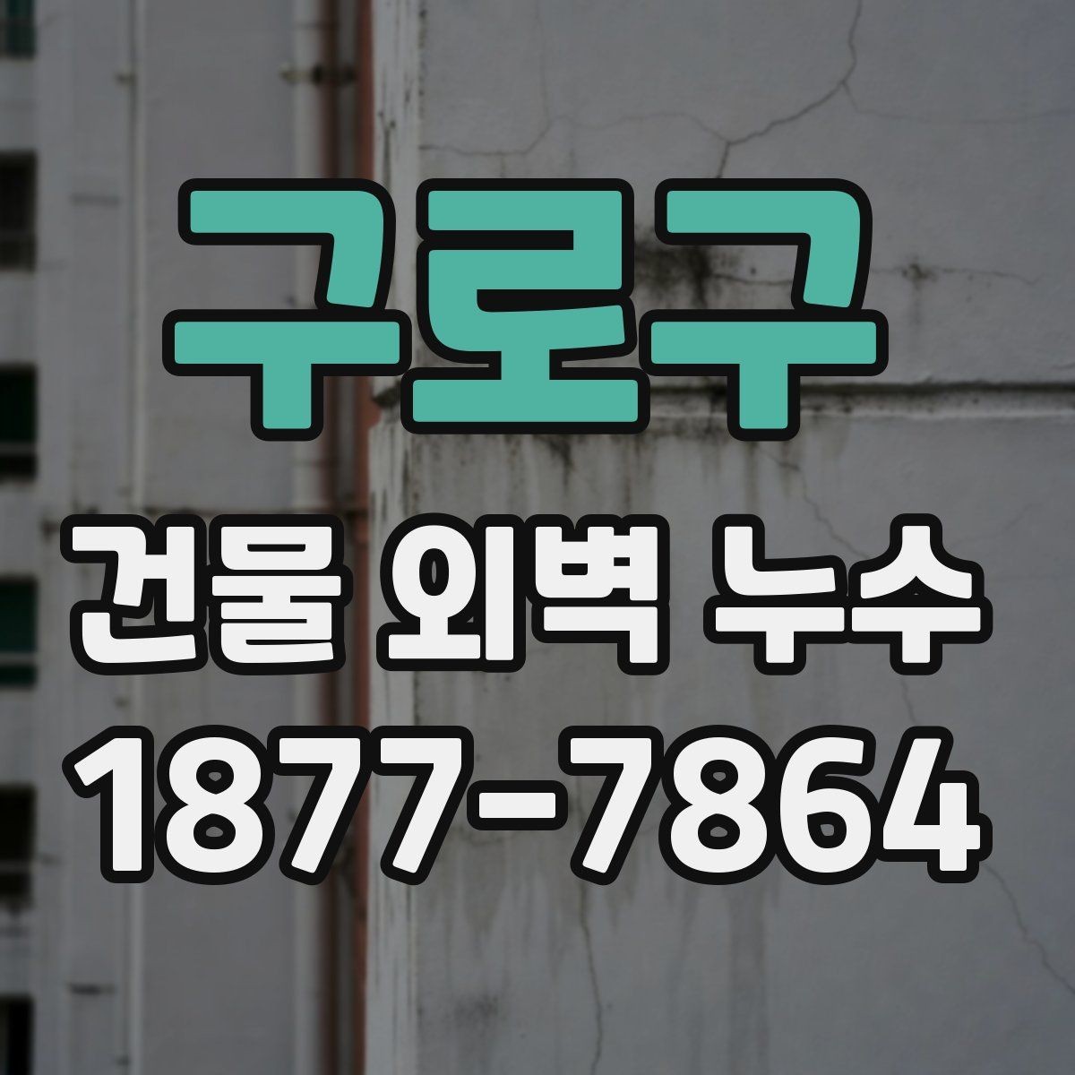 구로구 건물 외벽 누수 점검 결과를 바탕으로 한 대응