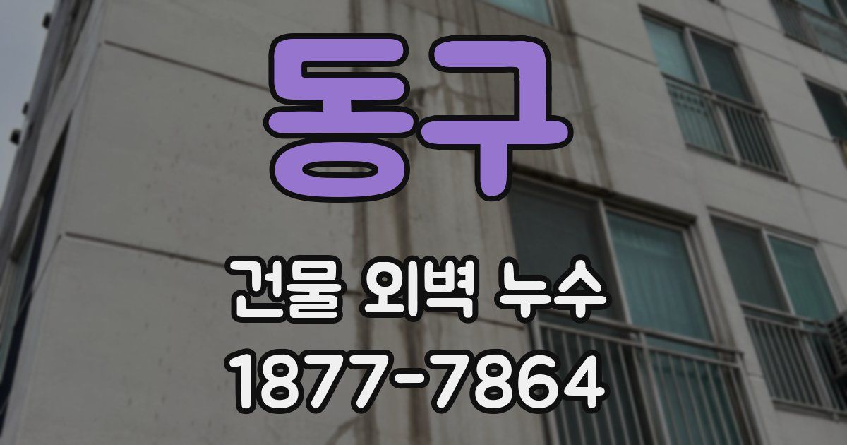 동구 건물 외벽 누수