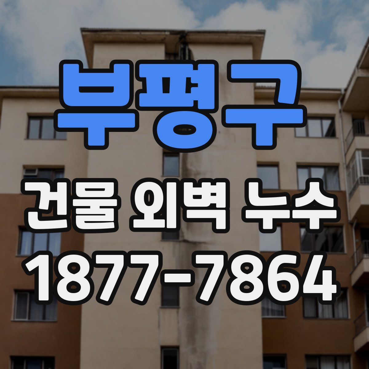 부평구 건물 외벽 누수
