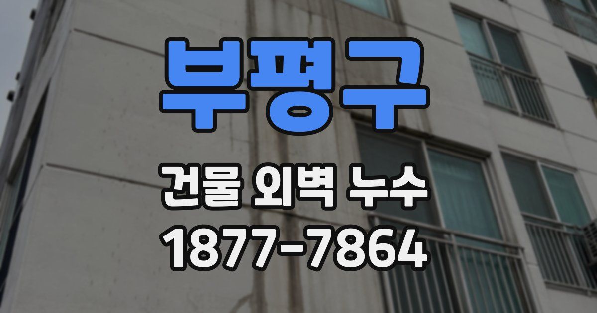 부평구 건물 외벽 누수