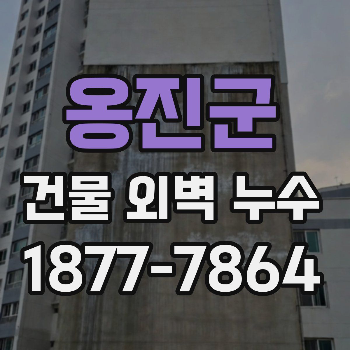 옹진군 건물 외벽 누수