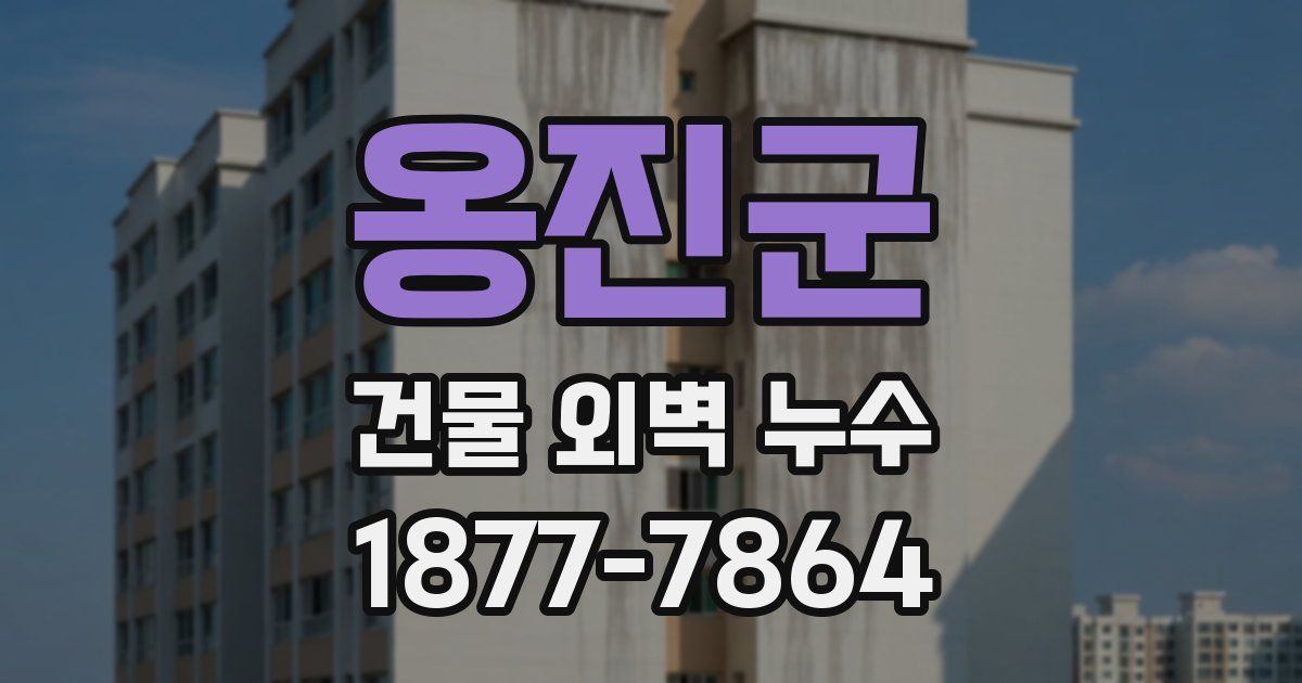 옹진군 건물 외벽 누수