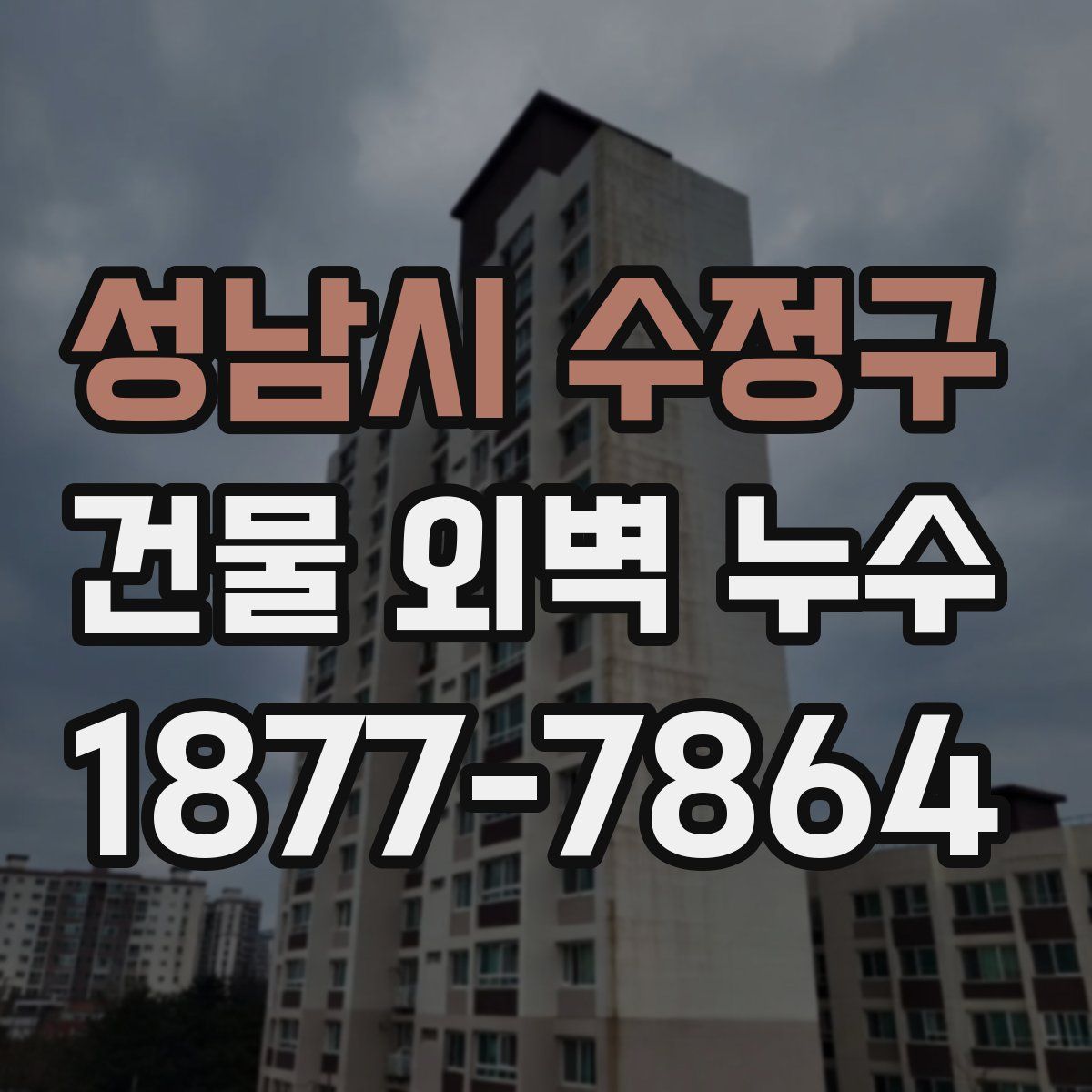 성남시 수정구 건물 외벽 누수