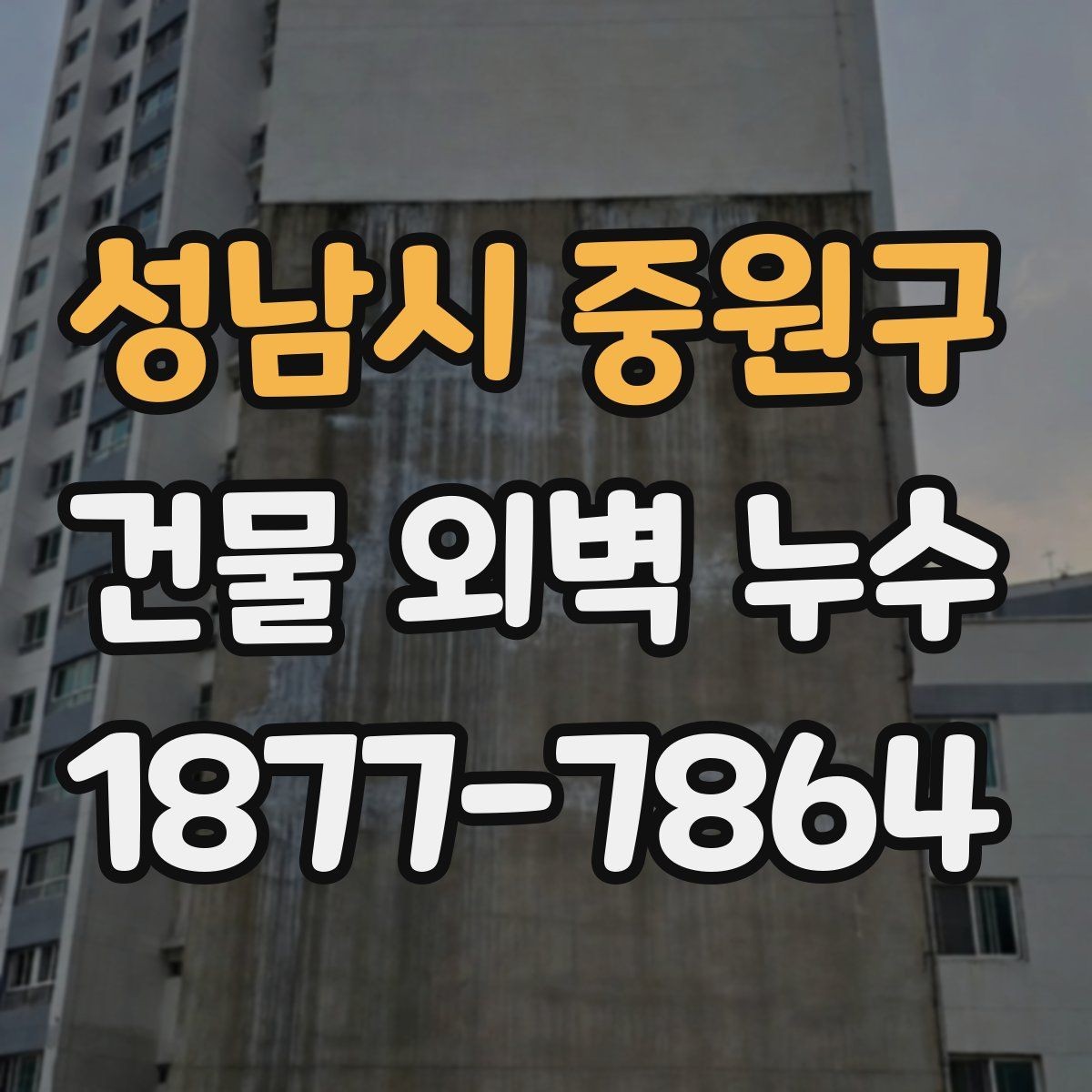 성남시 중원구 건물 외벽 누수 공사 견적서에서 살필 항목