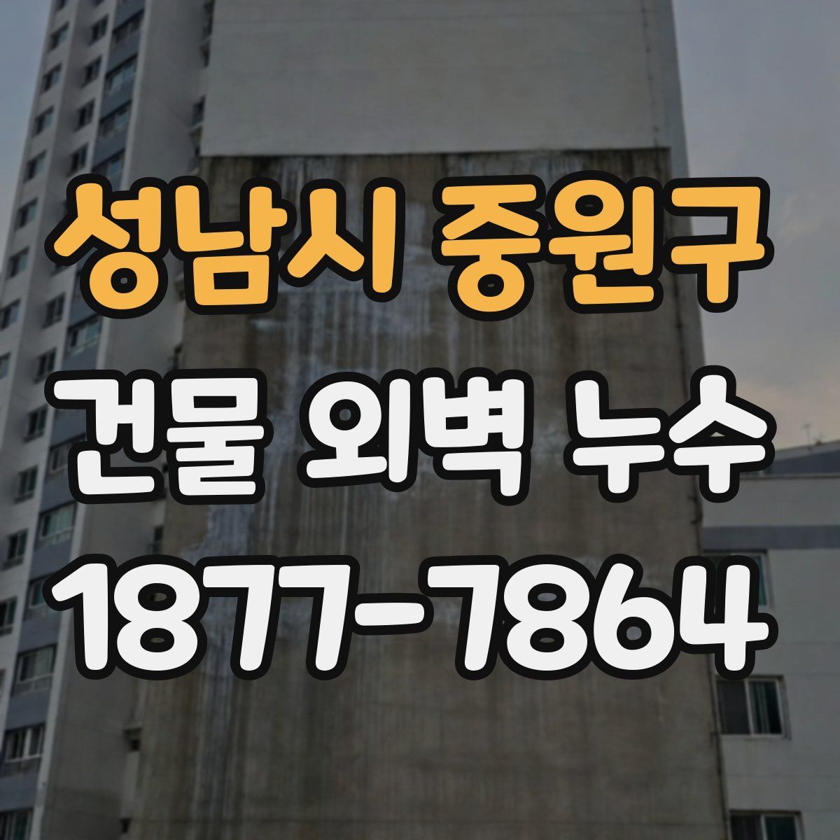 성남시 중원구 건물 외벽 누수