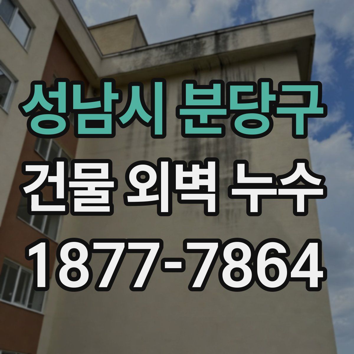 성남시 분당구 건물 외벽 누수