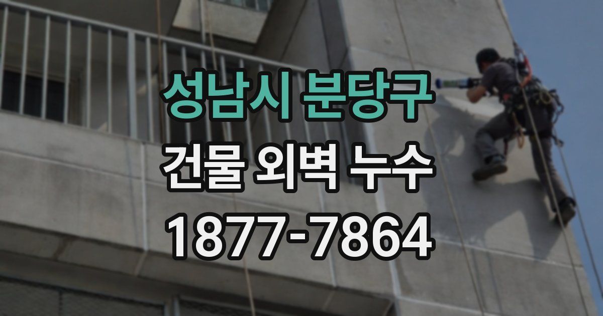 성남시 분당구 건물 외벽 누수