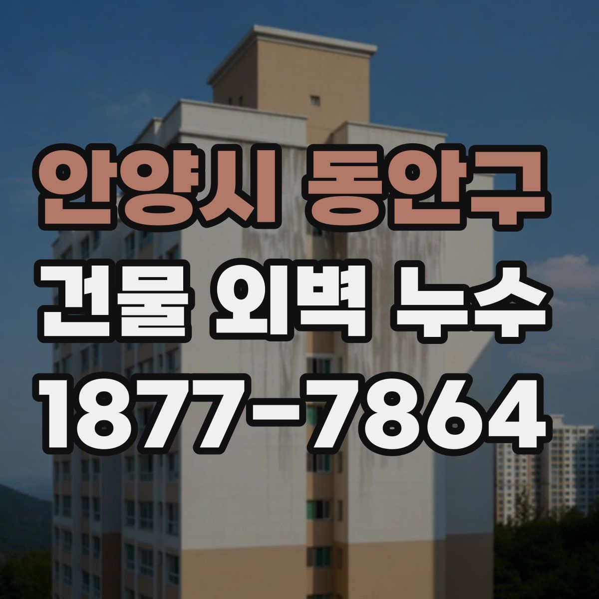 안양시 동안구 건물 외벽 누수