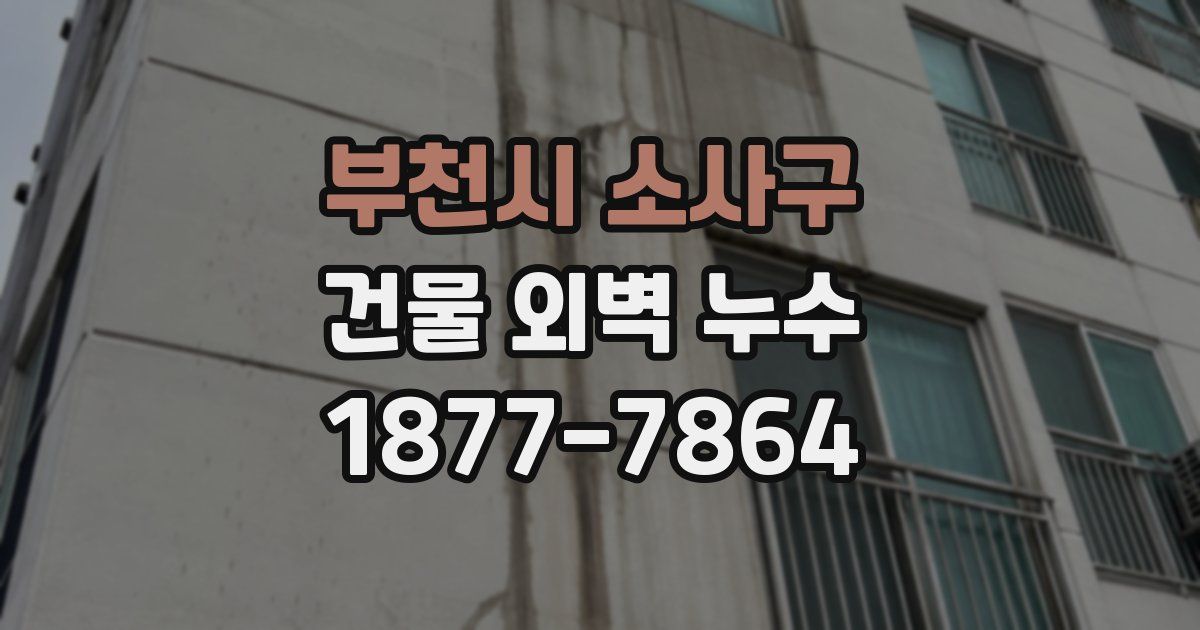 부천시 소사구 건물 외벽 누수