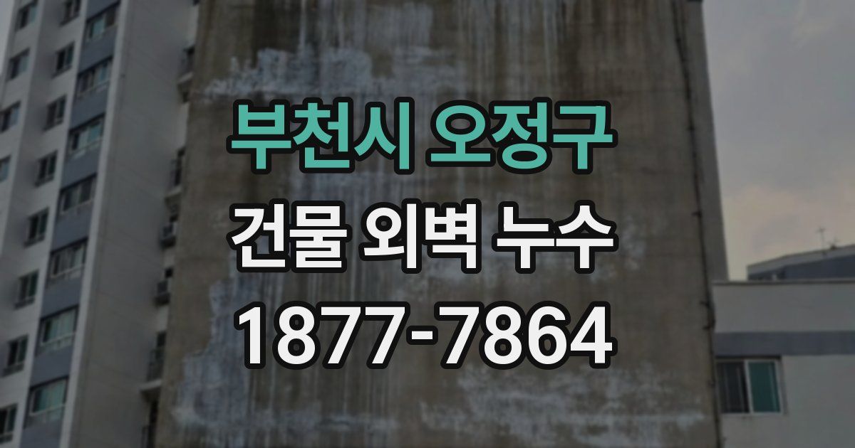 부천시 오정구 건물 외벽 누수